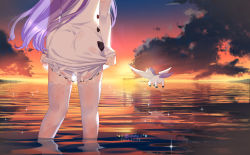 Rule 34 | artist name, azur lane, chinese commentary, cloud, commentary request, dated, detached sleeves, dress, evening, highres, in water, long hair, lower body, ocean, purple hair, scenery, see-through, standing, stuffed winged unicorn, sunset, thighhighs, thighs, unicorn (azur lane), very long hair, water, wet, wet clothes, white dress, white thighhighs, xiao shi lullaby