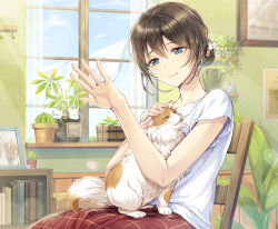 Rule 34 | 1girl, absurdres, animal, animal on lap, blue eyes, blue sky, book, bookshelf, brown hair, cactus, cat, cat on lap, chair, closed mouth, cloud, commentary, curtains, day, hair between eyes, hair bun, hand up, head tilt, highres, indoors, jewelry, looking away, mono lith, on lap, original, photo (object), picture frame, plant, potted plant, red skirt, revision, ring, shirt, short sleeves, single hair bun, sitting, skirt, sky, smile, solo, sunlight, transparent, wedding band, white shirt, window