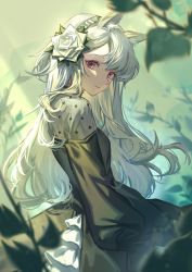 Rule 34 | 1girl, absurdres, animal ears, arknights, black dress, cowboy shot, dress, flower, from side, green background, grey hair, hair flower, hair ornament, hairband, heavyrain (arknights), heavyrain (tranquil moss) (arknights), highres, horse ears, leaf, long hair, long sleeves, looking at viewer, official alternate costume, pink eyes, shijiediyikeaide gg, solo, white flower