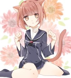 Rule 34 | 10s, 1girl, anchor, animal ears, blue socks, brown eyes, brown hair, cat ears, cat tail, dress, flower, kantai collection, kemonomimi mode, kriegsmarine, long sleeves, looking at viewer, no headwear, parted lips, paw pose, sailor collar, sailor dress, shijima (sjmr02), short hair, simple background, socks, solo, tail, uniform, z3 max schultz (kancolle)