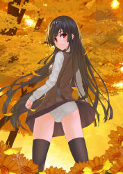 Rule 34 | 1girl, 54cr, ass, autumn leaves, black hair, black thighhighs, blunt bangs, brown skirt, closed mouth, clothes lift, day, field, flower, flower field, from behind, hair ribbon, highres, holding, holding clothes, holding skirt, kneepits, long hair, long sleeves, looking at viewer, looking back, original, outdoors, red eyes, ribbon, school uniform, shirt, skirt, skirt lift, smile, solo, standing, sunlight, sweater vest, thighhighs, thighs, tree, upskirt, very long hair, white ribbon, white shirt, wind, wind lift, yellow flower