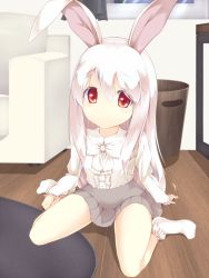 Rule 34 | animal ears, expressionless, josephine (twin tail rabbit), long hair, looking at viewer, original, rabbit ears, red eyes, shirt, silver hair, sitting, skirt, socks, solo