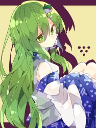 Rule 34 | 1girl, bare shoulders, blue skirt, commentary, detached sleeves, expressionless, feet out of frame, frilled skirt, frills, frog, frog hair ornament, from behind, green eyes, green hair, hair ornament, hair tubes, hairclip, highres, kochiya sanae, long hair, looking at viewer, looking back, nikorashi-ka, one-hour drawing challenge, shirt, sideways glance, skirt, solo, touhou, white shirt, white sleeves