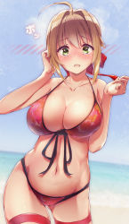 Rule 34 | 1girl, ahoge, bare shoulders, bikini, blue sky, blush, breasts, brown hair, cleavage, collarbone, commentary request, cowboy shot, day, dermar, fate/extra, fate/grand order, fate (series), gluteal fold, green eyes, hair intakes, hair ornament, highres, horizon, large breasts, looking at viewer, navel, nero claudius (fate), nero claudius (fate) (all), nero claudius (fate/extra), ocean, open mouth, outdoors, red bikini, sidelocks, signature, sky, solo, standing, stomach, swimsuit, thigh strap