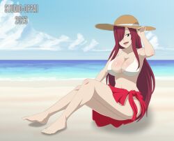 Rule 34 | 1girl, absurdres, beach, bra, breasts, erza scarlet, fairy tail, feet, highres, open mouth, red hair, solo, studio oppai, swimsuit, underwear