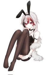 Rule 34 | 1girl, animal ears, bare shoulders, black collar, black hair, black hairband, black leotard, blush, breasts, brown pantyhose, closed mouth, collar, corrupted twitter file, detached collar, fake animal ears, fu hua, fu hua (herrscher of sentience), fu hua (onyx simurgh) (herrscher of sentience), grey hair, hair between eyes, hairband, heart, highres, honkai (series), honkai impact 3rd, hugging own legs, knees up, leotard, long hair, looking at viewer, multicolored hair, no shoes, pantyhose, playboy bunny, rabbit ears, red eyes, red hair, simple background, sitting, small breasts, smile, solo, strapless, strapless leotard, streaked hair, tttokhonkai, very long hair, white background, wrist cuffs
