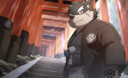 Rule 34 | 1boy, animal ears, animal nose, brown fur, closed mouth, crest, dog boy, dog ears, fang, forked eyebrows, furry, furry male, hakama, haori, haori himo, highres, japanese clothes, kimono, light particles, male focus, moritaka (housamo), multiple torii, ponzu tas, scar, scar on face, short hair, shrine, smile, snout, solo, stairs, thick eyebrows, tokyo houkago summoners, torii, two-tone fur, upper body