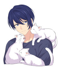 Rule 34 | 1boy, animal, animal on shoulder, blue eyes, blue hair, blush, cat, character request, closed mouth, commentary request, hair between eyes, helios rising heroes, highres, looking at another, male focus, open mouth, sekina, short hair, sideways glance, simple background, split mouth, upper body, whiskers, white background, white cat