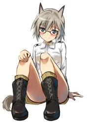 Rule 34 | 1girl, animal ears, blue eyes, blush, boots, eugenia horbaczewski, fang, full body, glasses, kyogoku shin, looking at viewer, short hair, silver hair, simple background, sitting, sketch, smile, solo, strike witches, tail, white background, world witches series