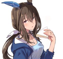 Rule 34 | 1girl, admire vega (umamusume), alternate costume, animal ears, breasts, brown hair, casual, collarbone, food, highres, holding, holding food, horse ears, horse girl, jacket, jewelry, long hair, looking at viewer, medium breasts, necklace, ponytail, portrait, purple eyes, ring, sandwich, shirt, solo, starheart, umamusume, white background