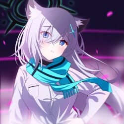 Rule 34 | 1girl, animal ear fluff, animal ears, bad id, bad pixiv id, blue archive, blue eyes, blurry, blurry background, blush, breasts, buttons, choker, cross hair ornament, grey hair, hair ornament, halo, hand on own hip, highres, long hair, long sleeves, looking at viewer, medium breasts, mismatched pupils, nano (blueoekaki), open mouth, scarf, shiroko (blue archive), shiroko terror (blue archive), shirt, solo, upper body, white shirt, wolf ears