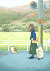 Rule 34 | 1girl, absurdres, animal, bag, black footwear, blue shirt, brown hair, building, calico, cat, commentary request, day, field, from side, green skirt, highres, inoue haruka (haruharu210), landscape, long hair, long skirt, looking at animal, manhole cover, original, outdoors, plaid, plaid skirt, road, scenery, shirt, shoes, shoulder bag, skirt, solo, standing, street, suitcase, traffic mirror