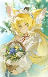Rule 34 | 1girl, animal ears, arknights, basket, blonde hair, blue skirt, blue sky, blurry, blurry background, closed mouth, cowboy shot, flower basket, fox ears, fox girl, frilled hairband, frills, green eyes, hairband, hand up, heixiu, highres, holding, holding basket, long hair, long sleeves, looking at viewer, luo xiaohei zhanji, neck ribbon, outdoors, red ribbon, ribbon, shirt, skirt, sky, suzuran (arknights), very long hair, white hairband, white shirt, zeriko