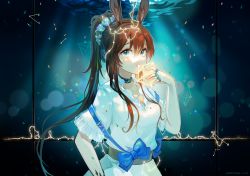 Rule 34 | 1girl, absurdres, alternate costume, amiya (arknights), animal ears, aquarium, arknights, blue choker, blue eyes, choker, commentary, dress, hand up, happyongdal, highres, huge filesize, jewelry, long hair, looking at viewer, material growth, multiple rings, oripathy lesion (arknights), ponytail, rabbit ears, ring, shirt, skirt, solo, symbol-only commentary, upper body, white dress