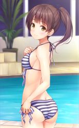 Rule 34 | 1girl, ass, bad id, bad pixiv id, bikini, blurry, blush, breasts, brown eyes, brown hair, butt crack, cowboy shot, depth of field, from behind, halterneck, hand on own chest, high ponytail, indoors, katou megumi, long hair, looking at viewer, looking back, medium breasts, pasdar, plant, ponytail, pool, poolside, potted plant, saenai heroine no sodatekata, side-tie bikini bottom, sideboob, smile, solo, standing, string bikini, striped bikini, striped clothes, swimsuit, twisted torso