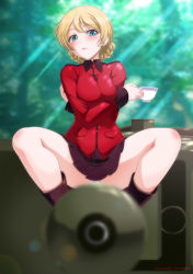 Rule 34 | 1girl, blonde hair, blue eyes, braid, cannon, closed mouth, cup, darjeeling (girls und panzer), french braid, girls und panzer, holding, holding cup, kaname aomame, legs, military, military vehicle, motor vehicle, outdoors, panties, short hair, sitting, solo, st. gloriana&#039;s military uniform, sunlight, tank, teacup, underwear, white panties