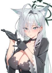 Rule 34 | 1girl, adjusting clothes, adjusting gloves, ahoge, animal ear fluff, animal ears, black choker, black dress, black gloves, black jacket, blue archive, blush, breasts, choker, cleavage, collarbone, dress, earrings, gloves, grey hair, halo, highres, jacket, jewelry, large breasts, looking at viewer, mismatched pupils, shiroko (blue archive), shiroko terror (blue archive), simple background, solo, stud earrings, sweatdrop, white background, wolf ears, yzr (yzr99)