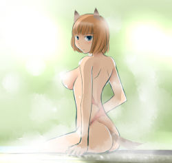 Rule 34 | 10s, 1girl, animal ears, back, bath, brave witches, green eyes, gundula rall, nude, red hair, scar, solo, steam, strike witches, tail, wolf ears, world witches series