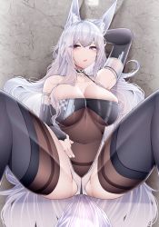 Rule 34 | 1girl, absurdres, animal ear fluff, animal ears, arm up, azur lane, black bodysuit, black thighhighs, blush, bodysuit, breasts, cleavage, collarbone, covered navel, elbow gloves, gloves, grey eyes, highres, large breasts, long hair, open mouth, partially visible vulva, samip, see-through, shinano (azur lane), shinano (moonlit chrome) (azur lane), sitting, spread legs, tail, teeth, thighhighs, thighs, upper teeth only, white hair