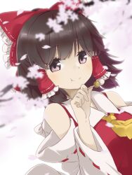 Rule 34 | 1girl, :t, bow, brown eyes, brown hair, cherry blossoms, closed mouth, commentary, detached sleeves, hair bow, hair tubes, hakurei reimu, highres, holding, holding manga, looking at viewer, manga (object), medium hair, red bow, ribbon-trimmed sleeves, ribbon trim, sidelocks, smile, solo, touhou, tyouseki, upper body