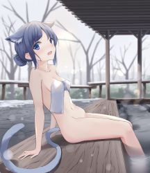Rule 34 | 1girl, :d, absurdres, akinakesu-chan, animal ear fluff, animal ears, arm support, bare tree, bath, blue eyes, blue hair, blurry, blurry background, blush, breasts, cat ears, cat girl, cat tail, collarbone, commentary request, day, depth of field, hair bun, highres, leaning back, looking at viewer, medium breasts, navel, nude, onsen, open mouth, original, outdoors, parted bangs, single hair bun, sitting, smile, solo, steam, tail, towel, tree, water
