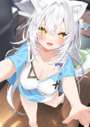 Rule 34 | 1girl, animal ear fluff, animal ears, blue shirt, blurry, blurry background, blush, bottomless, breasts, cat ears, cat girl, cat tail, cleavage, collarbone, commentary request, fangs, from above, hair between eyes, highres, indoors, kamioka shun&#039;ya, large breasts, long hair, looking at viewer, open mouth, original, outstretched arms, reaching, reaching towards viewer, shirt, short sleeves, sidelocks, smile, solo, sparkling eyes, tail, tearing up, tears, two-tone shirt, white hair, white shirt, wooden floor, yellow eyes