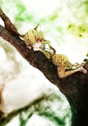 Rule 34 | 10s, 1girl, animal ears, blonde hair, closed eyes, elbow gloves, extra ears, gloves, in tree, ise (0425), kemono friends, ocelot (kemono friends), ocelot print, print gloves, print skirt, print thighhighs, skirt, sleeping, solo, tail, thighhighs, tree