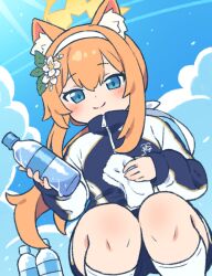 Rule 34 | 1girl, animal ear fluff, animal ears, blue archive, blue eyes, blue jacket, blue shorts, blue sky, blush, bottle, closed mouth, cloud, commentary request, flower, fox ears, fox girl, hair flower, hair ornament, hairband, halo, holding, holding bottle, holding towel, jacket, kneehighs, long hair, looking at viewer, low ponytail, mari (blue archive), mari (track) (blue archive), official alternate costume, onyhakase, orange hair, plastic bottle, short shorts, shorts, sky, smile, socks, solo, squatting, towel, track jacket, white flower, white hairband, white socks, yellow halo