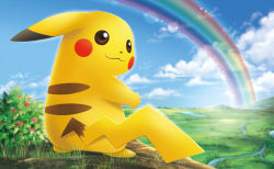 Rule 34 | :3, blue sky, closed mouth, cloud, cloudy sky, creature, creatures (company), day, full body, game freak, gen 1 pokemon, grass, himeno kagemaru, looking at viewer, looking back, nintendo, no humans, official art, outdoors, pikachu, pokemon, pokemon (creature), pokemon tcg, rainbow, river, scenery, sky, solo, standing, third-party source