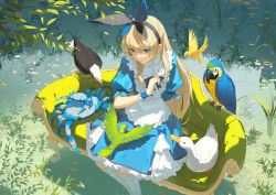 Rule 34 | 1girl, alice (alice in wonderland), alice in wonderland, bird, black hairband, blonde hair, blue bird, blue dress, blue eyes, blue hairband, blue ribbon, commentary, couch, crab, dress, duck, eagle, english commentary, falling leaves, feet out of frame, frilled dress, frills, green bird, hair between eyes, hairband, hand up, heterochromia, kneehighs, leaf, long hair, looking at animal, on couch, outdoors, parrot, parted lips, pinafore dress, puffy short sleeves, puffy sleeves, ribbon, short sleeves, sitting, sleeveless dress, socks, solo, sunlight, tree, very long hair, wakuseiy, white socks, wrist cuffs, yellow eyes
