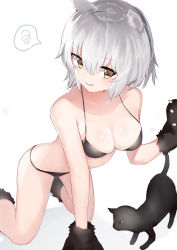 Rule 34 | 1girl, absurdres, all fours, animal, animal ears, animal hands, bikini, black bikini, black cat, breasts, brown eyes, cat, cat ears, cleavage, fate/apocrypha, fate/grand order, fate (series), gloves, green eyes, hair between eyes, highres, jeanne d&#039;arc (fate), jeanne d&#039;arc alter (avenger) (fate), jeanne d&#039;arc alter (fate), kura ekaki, long hair, medium breasts, paw gloves, paw shoes, shadow, shoes, silver hair, solo, spoken squiggle, squiggle, swimsuit, white background