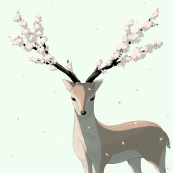 Rule 34 | absurdres, animal focus, avogado6, blue background, cherry blossoms, deer, flower, from side, highres, looking at viewer, no humans, original, simple background, white flower
