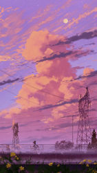 Rule 34 | 1girl, absurdres, bicycle, cloud, cloudy sky, commentary request, day, flower, from side, full moon, grass, highres, moon, original, outdoors, power lines, purple theme, riding, riding bicycle, scenery, silhouette, skirt, sky, skyrick9413, solo, transmission tower, tree, utility pole, very wide shot, yellow flower