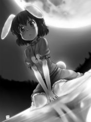 Rule 34 | 1girl, :&lt;, animal ears, bad id, bad pixiv id, between thighs, blush, carrot, carrot necklace, dress, dutch angle, female focus, forest, greyscale, highres, inaba tewi, jewelry, kneeling, monochrome, moon, moonlight, nagian, nature, necklace, pendant, rabbit ears, rabbit girl, rabbit tail, reflection, short hair, sitting, solo, tail, thighs, touhou, v arms, wading, wariza, water