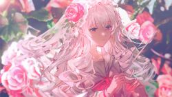 Rule 34 | 1boy, 1girl, absurdres, arcaea, blurry, blurry background, conductor baton, curly hair, floating hair, floral background, flower, hair between eyes, hair flower, hair ornament, hair spread out, highres, hikari (arcaea), holding, holding stick, long hair, long sleeves, looking ahead, looking to the side, neck ribbon, red eyes, red flower, red ribbon, red rose, ribbon, rose, sailor collar, school uniform, shirt, sidelocks, siyrgr, solo, stick, upper body, white hair, white sailor collar, white shirt, white veil