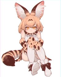 Rule 34 | 1girl, absurdres, animal ear fluff, animal ears, ankle boots, blonde hair, boots, bow, bowtie, closed mouth, elbow gloves, gloves, highres, hugging own legs, kemono friends, looking at viewer, miniskirt, notora, print bow, print bowtie, print gloves, print neckwear, print skirt, print thighhighs, serval (kemono friends), serval print, serval tail, shirt, short hair, sitting, skirt, sleeveless, sleeveless shirt, smile, solo, striped tail, tail, thighhighs, traditional bowtie, white footwear, white shirt, yellow bow, yellow bowtie, yellow eyes, yellow gloves, yellow legwear