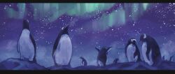 Rule 34 | absurdres, animal, arms up, aurora, bird, breath, commentary request, highres, letterboxed, looking to the side, looking up, night, night sky, no humans, original, outdoors, penguin, purple sky, sky, standing, star (sky), starry sky, yubrich