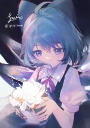 Rule 34 | 1girl, blue bow, blue dress, blue eyes, blue hair, blush, bow, cirno, collared shirt, dress, fairy, hair bow, highres, holding, ice, ice wings, open mouth, puffy short sleeves, puffy sleeves, shirt, short hair, short sleeves, signature, siyumu, solo, touhou, twitter username, white shirt, wings