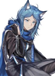 Rule 34 | 1girl, absurdres, animal ear fluff, animal ears, arknights, black jacket, blue cape, blue eyes, blue hair, cape, cat ears, chinese commentary, commentary request, hand up, highres, jacket, long sleeves, monique (arknights), short hair, simple background, sitting, solo, white background, zuo daoxing