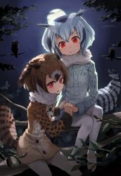Rule 34 | 2girls, alternate eye color, bird, bird girl, bird tail, brown coat, brown hair, coat, commentary request, eurasian eagle owl (kemono friends), forest, full moon, fur collar, glowing, glowing eyes, grey coat, head wings, highres, holding hands, in tree, kemono friends, looking at viewer, melaton, moon, multicolored hair, multiple girls, nature, night, night sky, northern white-faced owl (kemono friends), owl, owl ears, owl girl, red eyes, sitting, sitting in tree, sky, tail, tree, white hair, white legwear, wings