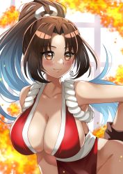 Rule 34 | 1girl, absurdres, blush, breasts, brown eyes, brown hair, cleavage, day, fatal fury, fire, grin, hand on own hip, highres, large breasts, looking at viewer, ninja, ponytail, shiranui mai, smile, snk, solo, thighs