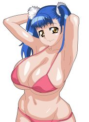 Rule 34 | 00s, 1girl, absurdres, armpits, arms behind head, arms up, bikini, blue hair, breasts, brown eyes, chuiru, cleavage, curvy, choujuushin gravion, highres, huge breasts, long hair, looking at viewer, navel, smile, solo, swimsuit, twintails, wide hips