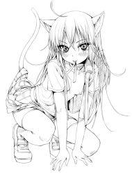 Rule 34 | 1girl, ahoge, animal ears, blush, breasts, cat ears, cat tail, clothes lift, collarbone, flat chest, greyscale, hair between eyes, lineart, long hair, looking at viewer, mary janes, mole, mole under eye, monochrome, mouth hold, mx2j, nipples, open clothes, open shirt, original, ribbon, ribbon in mouth, shirt, shoes, skirt, skirt lift, small breasts, solo, squatting, tail, thighhighs, tsurime