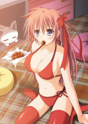 Rule 34 | 1girl, arm support, bikini, blue eyes, blush, breasts, brown hair, cat, chocolate, cleavage, food, large breasts, long hair, looking away, mouth hold, navel, original, pillow, red bikini, shunrei (blue sanctuary), side-tie bikini bottom, sitting, solo, strap gap, swimsuit, thighhighs, twintails, wariza