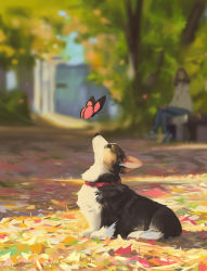 Rule 34 | 1girl, animal focus, autumn leaves, bench, blurry, blurry background, bug, butterfly, dog, highres, insect, leaf, nature, original, outdoors, park, park bench, puppy, snatti, tree, welsh corgi