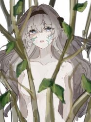 Rule 34 | 1girl, 43ld6, black hairband, firefly (honkai: star rail), grey hair, hair between eyes, hairband, highres, honkai: star rail, honkai (series), leaf, long hair, looking at viewer, nude, open mouth, parted lips, plant, scar, scar on face, two-tone eyes, white background