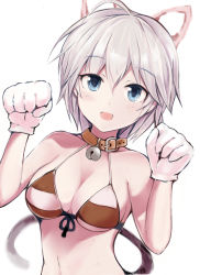 Rule 34 | 1girl, anastasia (idolmaster), animal ears, animal hands, bell, bikini, blush, brown bikini, cat ears, cat tail, collar, collarbone, front-tie bikini top, front-tie top, gloves, grey hair, hair between eyes, idolmaster, idolmaster cinderella girls, looking at viewer, nannacy7, neck bell, open mouth, short hair, simple background, smile, solo, striped bikini, striped clothes, swimsuit, tail, upper body, white background, white gloves