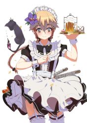 Rule 34 | 1girl, alcohol, androgynous, apron, arm up, beer, beer mug, black bow, black cat, black dress, black neckwear, black ribbon, blush, bow, bowtie, brown eyes, brown hair, cake, cat, character request, closed mouth, commentary request, cowboy shot, cup, cupcake, dress, fang, floating hair, flower, foam, food, frilled thighhighs, frills, garter straps, hair between eyes, hair bobbles, hair flower, hair ornament, hair ribbon, hand up, heart, highres, holding, holding tray, index finger raised, long hair, looking down, lucky (1045044604), maid, maid headdress, mug, ponytail, purple flower, ribbon, short sleeves, simple background, smile, standing, star (symbol), thighhighs, tray, white apron, white background, white thighhighs, wrist cuffs