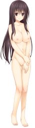 Rule 34 | 1girl, absurdres, akabei soft 2, black hair, blush, breasts, brown eyes, censored, cleavage, full body, gluteal fold, hand on own arm, hibiki works, highres, large breasts, long bangs, long hair, looking at viewer, mosaic censoring, nipples, non-web source, nude, oryo (oryo04), pretty x cation, pussy, smile, solo, standing, tareme, transparent background, yakuouji komachi