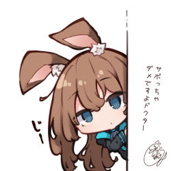 Rule 34 | 1girl, amiya (arknights), animal ear fluff, animal ears, arknights, beni shake, black jacket, blue eyes, brown hair, chibi, closed mouth, commentary request, hair between eyes, jacket, long hair, looking at viewer, peeking out, rabbit ears, signature, simple background, solo, translation request, very long hair, white background
